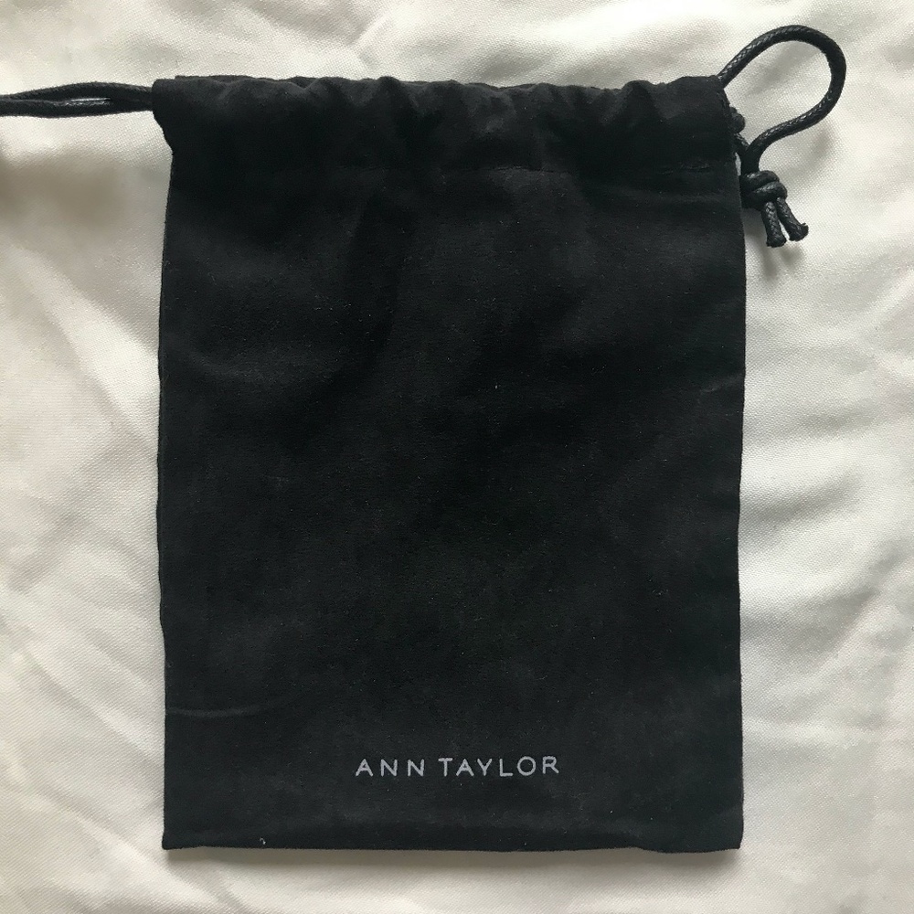 Ann Taylor Dust Bag